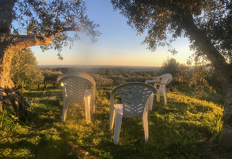Camping on My Land in Portugal